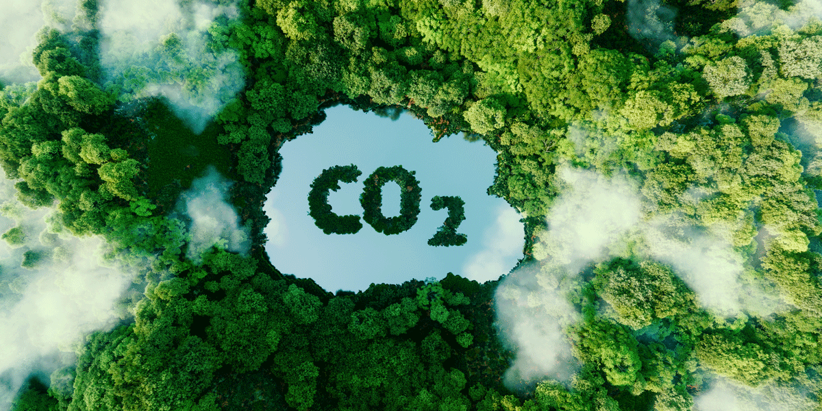 Carbon-Emissions-